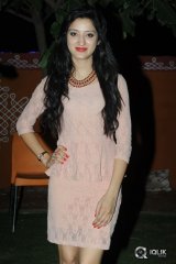 Richa Panai at Chandamama Kathalu National Award Celebrations